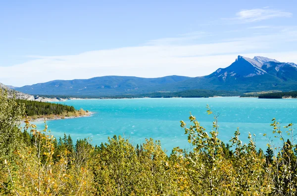 Abraham Lake inAutumn, Rockies canadienses — Foto de Stock