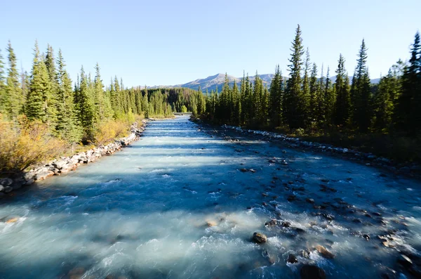 Lake Louise Köyü Güz, Kanada Rocky Dağları