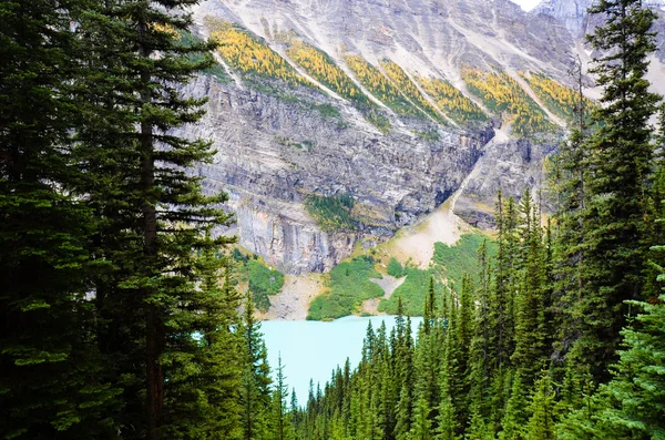 Lake Louise in het najaar, Canadese Rockies — Stockfoto