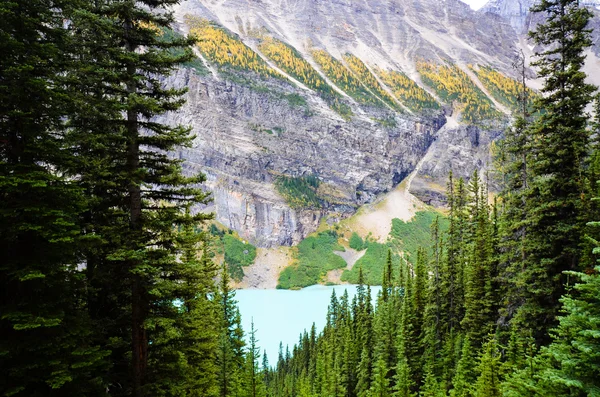 Lake Louise jesienią, Canadian Rockies — Zdjęcie stockowe