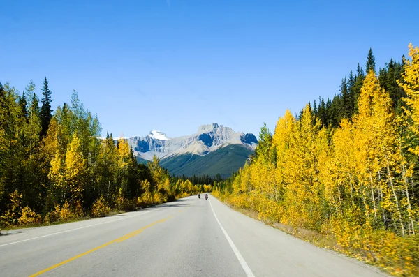 Icefields Parkway Güz, Kanada Rocky Dağları