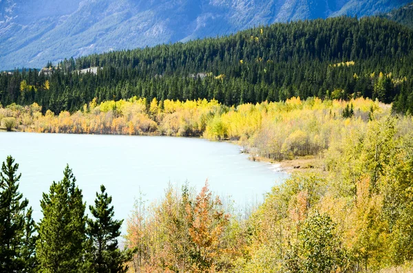 Abraham Lake inAutumn, Rockies canadienses — Foto de Stock