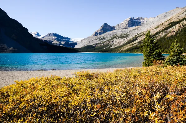 Bow Lake en otoño, Rockies canadienses — Foto de Stock