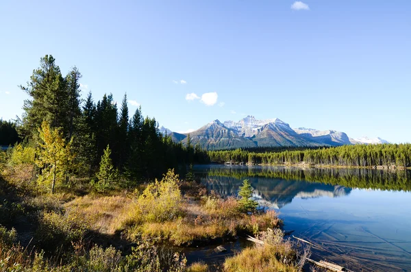 Herbert Lake in Autumn Morning, Canadian Rockies — Stock Photo, Image