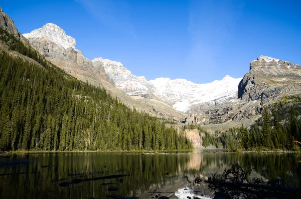 Herfst landschap van Lake O'Hara, Yoho National Park, Canadese Rockies — Stockfoto