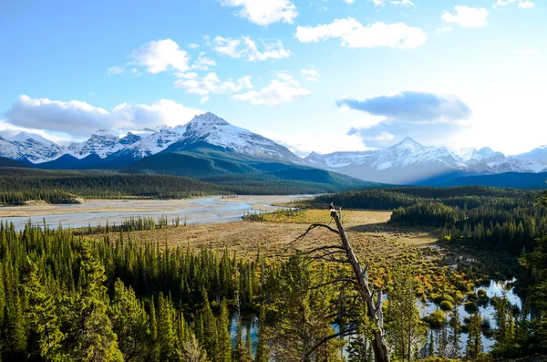 Canadese Rockies, herfst landschap Icefields Parkway, Saskatchewan Crossing — Stockfoto