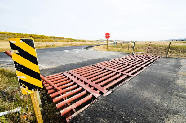 Texas Gate (Cattle Grid), Canmore, Canada Stock Photo