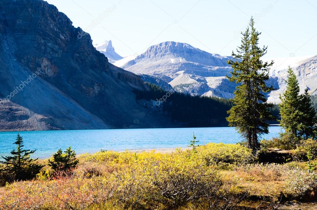 Bow Lake in Autumn, Canadian Rockies