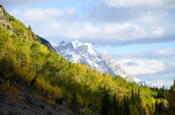 Kanada Kayalık Dağları, sonbahar sahne Icefields Parkway
