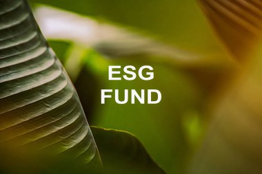 ESG Fonu Konsepti. Yeşil arkaplandaki ahşap küplere Esg simgeleri. ESG Çevre Yönetimi Yatırım İşletmeleri. Çevresel farkındalıklara yeşil şirket yatırımları. Karbon kredi.