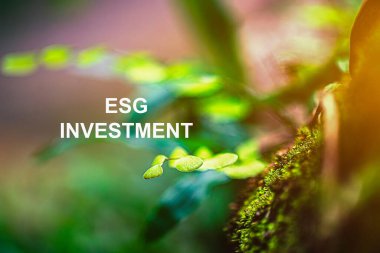 ESG investing is investing that considers environmental, social, and governance factors alongside financial analysis to identify companies that can generate sustainable returns over the long term.