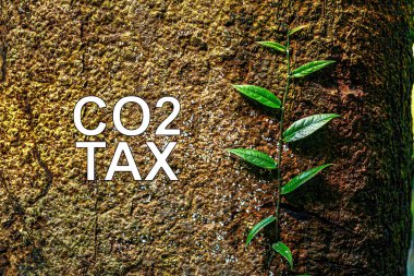 CO2 vergisi, emisyonları azaltmak ve daha temiz enerji kaynaklarına geçmek amacıyla belli bir eşiğin üzerine sera gazı salan kirleticilere uygulanan bir ücrettir..