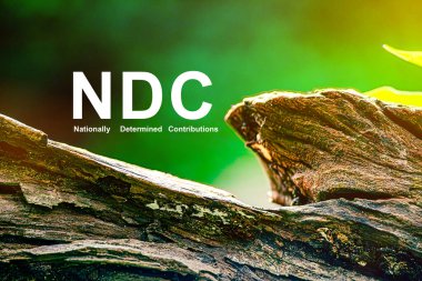 NDC Ulusal Kararlı Katkılar Ulusal olarak belirlenen katkılar, her ülkenin iklim değişikliğinin hafifletilmesi kapsamında sera gazı emisyonlarını azaltma vaatleridir..