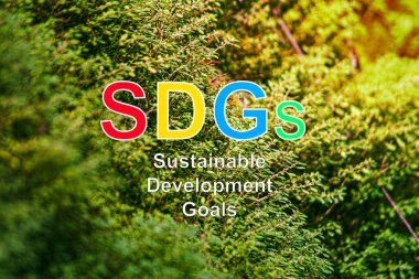 The SDGs or Sustainable Development Goals, are a set of 17 goals established by the United Nations UN to guide sustainable global development covering economic social and environmental dimensions.