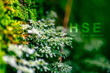 HSE, Sağlık Güvenliği ve Çevre anlamına geliyor. HSE genellikle iş yerinde ve çevrede sürdürülebilir uygulamaların teşvik edilmesi ve uygulamalara atıfta bulunur..
