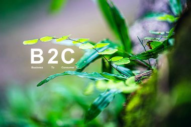 B2C Business to Consumer, doğrudan tüketicilere ürün veya hizmet satan şirketlere gönderme yapar. B2C genellikle aracı veya aracı kullanmayan bir iştir..