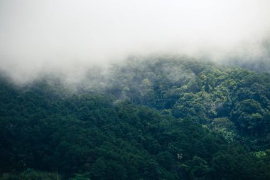 Hmong Köyü, Siriphum Şelalesi Doğa Yolu, Ban Luang Alt Bölgesi, Chom Tanga Bölgesi, Chiang Mai Eyaleti