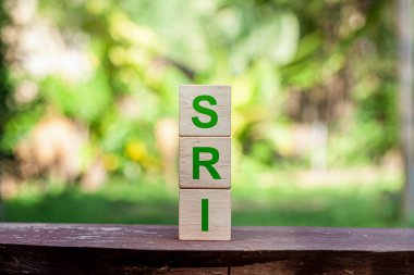 SRI Toplumsal Sorumluluk Yatırımından Sorumlu Toplumsal Yatırım, etik veya çevresel hedeflerin yanı sıra finansal geri dönüşleri de değerlendirmeyi amaçlayan her türlü yatırım stratejisidir..