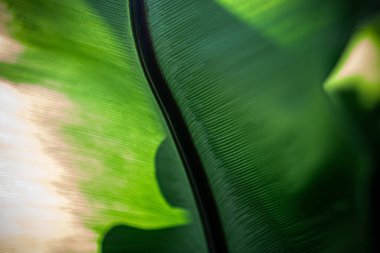 ESG Temiz ve Bilinçli Doku Çevre güdümlü Doku: Daha Yeşil Geleceğe Giden Yol
