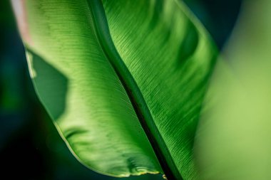 ESG Temiz ve Bilinçli Doku Çevre güdümlü Doku: Daha Yeşil Geleceğe Giden Yol
