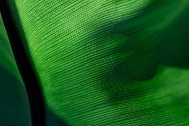 ESG Temiz ve Bilinçli Doku Çevre güdümlü Doku: Daha Yeşil Geleceğe Giden Yol