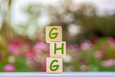 GHG Greenhouse Gas is a gas in the Earth's atmosphere that has the property of absorbing and releasing heat radiation causing the greenhouse effect.