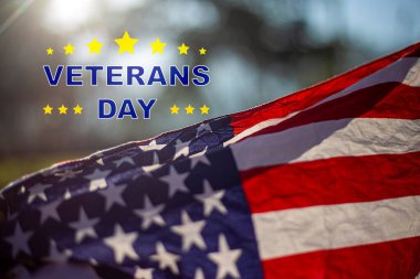 Gaziler Günü 'nde Amerika Kahramanları Onurlu Amerikan Gazileri Günü Gazilerin Şeref Dalgasıyla Amerikan Bayrağı Dalgalanıyor