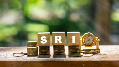 SRI Toplumsal Sorumluluk Yatırımından Sorumlu Toplumsal Yatırım, etik veya çevresel hedeflerin yanı sıra finansal geri dönüşleri de değerlendirmeyi amaçlayan her türlü yatırım stratejisidir..