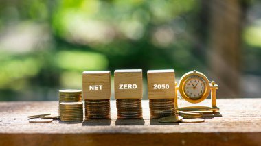 NET ZERO 2050 genellikle 2050 yılına kadar veya en kısa sürede Sıfır Ağ Sıfır sera gazı emisyonlarına ulaşma hedefini veya niyetini belirtir..