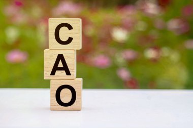 CAO Muhasebe Şefi ya da Muhasebe Şefi, bir organizasyonun tüm muhasebe işlevlerinin strateji ve operasyonlarını denetlemekten sorumlu üst düzey bir yöneticidir..