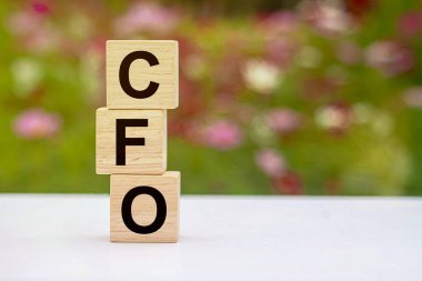 Organizasyonun genel finansmanından sorumlu üst düzey bir yönetici olan Mali İşler Müdürü, organizasyonun mali işlerini planlar ve yönetir..