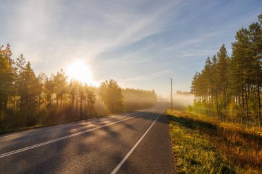 Manzaralı boş asfalt yol, gün doğumunda sisli ve sıcak altın güneş ışığıyla birlikte ormanın içinden geçiyor. Yolculuk, doğa, macera ve özgürlük kavramları için ideal huzurlu bir sabah manzarası.