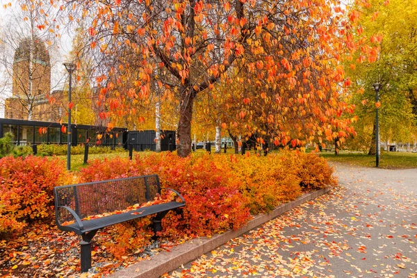 Renkli ağaçlar ve yapraklarla dolu bir sonbahar parkı sahnesi. Kırmızı ve turuncu yapraklı bir ağacın altında, sonbahar renkli çalılarla çevrili, sıcak ve huzurlu bir mevsimsel atmosfer yaratan siyah bir bank.