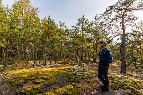 Erkek gezgin, İskandinav doğasını keşfetmek ve vahşi doğada yalnızlığın tadını çıkarmak için yumuşak güneş ışığı altında, İskandinav çam ormanlarında kayalık yosun kaplı bir zeminde duruyor.