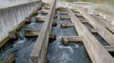 Hidroelektrik barajdaki yapay balık merdiveninde akan su, sürdürülebilir nehir sisteminde balık göçü için su hareketini ve ekolojik mühendisliği gösteriyor.