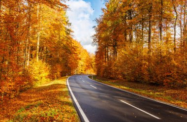 Mavi gökyüzü ve güneş ışığı altında uçan yapraklarla renkli ormanın içinden geçen kıvrımlı sonbahar yolu sonbaharın güzelliğini ve hareketini ve huzurlu kırsal yolculuğu yakalıyor.