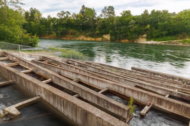 Bulutlu gökyüzünün altındaki bir nehir barajının yanında beton balık merdiveni, sürdürülebilir su yönetimi, yenilenebilir enerji ve modern hidroelektrik sistemlerindeki çevre mühendisliğini simgeliyor.