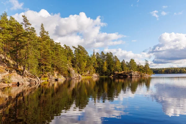 Güneşli bir sonbahar gününde İskandinav çam ormanlarında ahşap bir yolda yürüyen gezgin, mavi gökyüzü, bulutlar ve ılık altın ışıkla huzurlu doğayı keşfediyor.