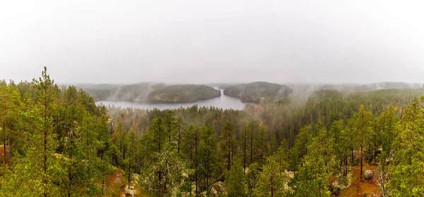 Sonbaharda ürkütücü bir Kuzey Avrupa Boreal Ormanı (taiga) ve sisli bir göl manzarası. Dramatik sis, çam ağaçları ve karanlık su yalnızlık ve vahşi doğa güzelliğini çağrıştırıyor..