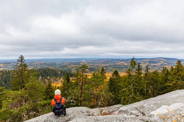Turuncu ceketli bir yürüyüşçü kayalık bir zirvede oturuyor, sonbahar ormanlarının engin manzarasını ve bulutlu bir gökyüzünün altındaki ıssız ve çorak araziyi izliyor. Yalnızlık ve ödül.