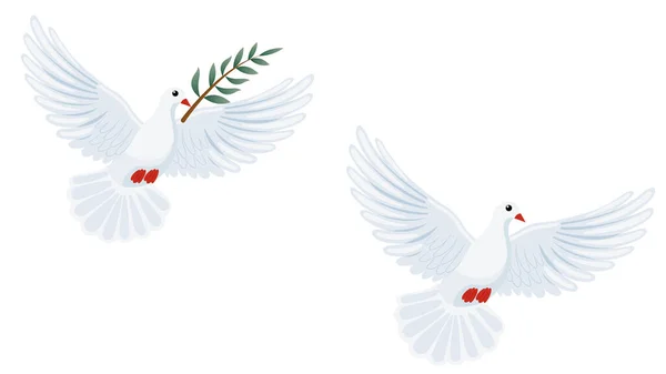 İki barış güvercini seti, biri yok ve birinin gagasında şeffaf arka planda bir dal var.