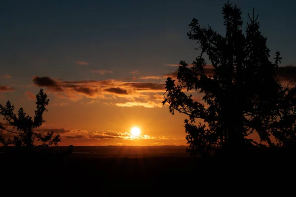 Siluetli Çam Ağaçlarının Üzerinde Altın Gün Batımı Dramatik Portakal Gökyüzü ve Orman Dalları Arasında Gün Işığı Huzurlu Doğa Manzarası