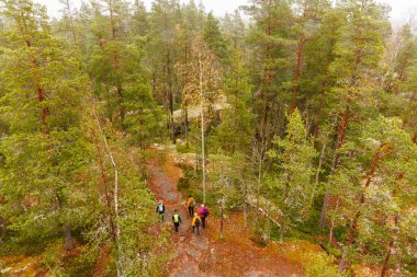 Sonbaharda Yeşil Çam ağaçlarıyla çevrili Rocky Ormanı 'nda yürüyen bir grup yürüyüşçünün hava görüntüsü