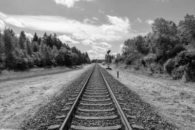 Bulutlu bir gökyüzünün altındaki kırsal bir orman arazisine giden siyah ve beyaz tren yolu. Güçlü perspektif ve simetri, yolculuğu, yönü ve yolculuğu sembolize eden zamansız bir sanat sahnesi yaratır.
