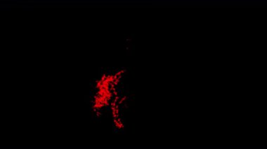 Kırmızı parçacık atı, parıldayan ışık parçacıklarıyla mükemmel bir atı ortaya çıkaran bir animasyon sergiliyor. Alfa Kanalı geçmişi, Çin Yeni Yılı ve şenlikli görseller için ideal.