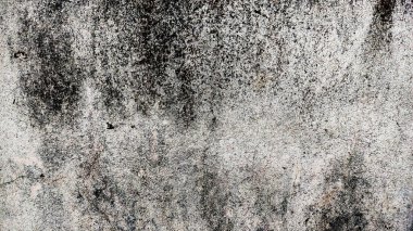 Duvar, uzun süren yağmur izleri ile lekelenmiş, ona soyut, eski ve cansız bir görünüm verir..