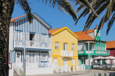 Portekiz 'deki Aveiro, Costa Nova' da güneşli bir tatil sahnesi. Öndeki yemyeşil palmiye yaprakları tarafından çerçevelenmiş. Arka planda, üç ikonik çizgili bina, açık teras, güneş şemsiyeleri ve en sağdaki evin yer aldığı bir sırada ayakta duruyor.