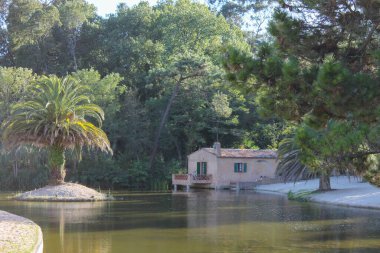 Portekiz 'in Mira bölgesinde sakin bir gölet ya da küçük merkezi bir adası, tek bir palmiye ağacı olan bir lagünün yer aldığı sakin bir manzara. Sahnede kumlu bir sahil evi ve terası olan rahat bir sahil evi var. Barrinha de Mira 'da güzel bir kaçamak.