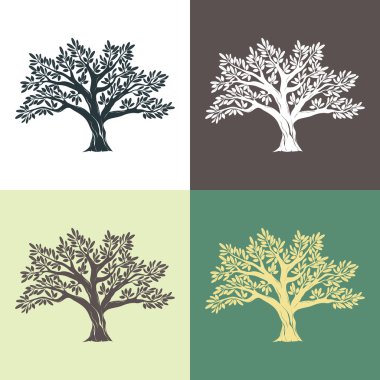 El grafik argan ağaçlar üzerinde farklı arka planlar ayarla çekilmiş. Vektör çizim etiketleri, paketleri, logo tasarımı için.