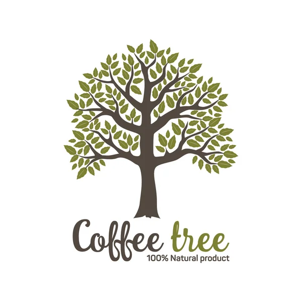 Hand drawn graphic coffee tree with green leaves. Vector illustration for labels, packs, logo design. — Stock Vector